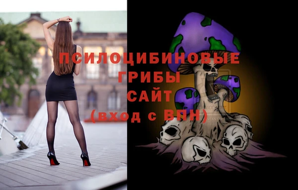 стаф Богородицк