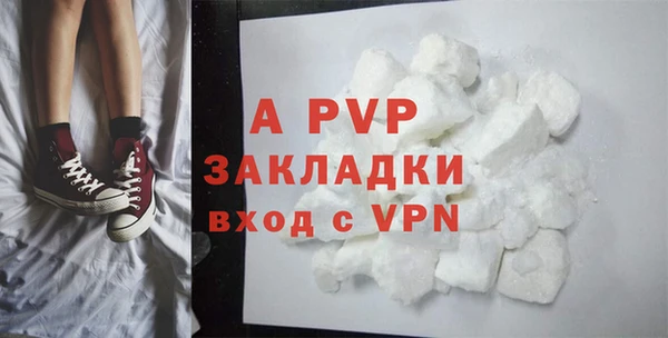 ГАЛЛЮЦИНОГЕННЫЕ ГРИБЫ Покачи