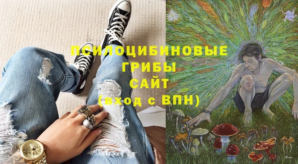 ГАЛЛЮЦИНОГЕННЫЕ ГРИБЫ Покачи