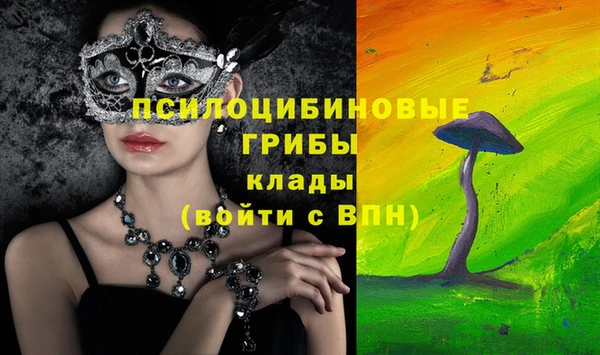 ГАЛЛЮЦИНОГЕННЫЕ ГРИБЫ Покачи