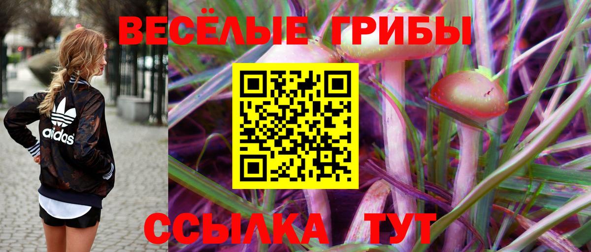 Галлюциногенные грибы GOLDEN TEACHER Каменка