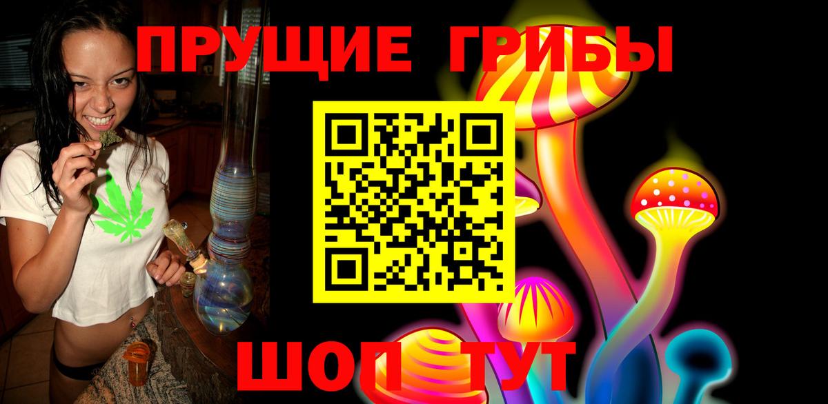 Каменка  Псилоцибиновые грибы прущие грибы  Вход с VPN  сколько стоит  Галлюциногенные грибы Psilocybe 