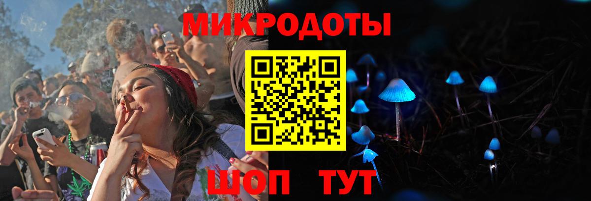 Галлюциногенные грибы Psilocybe Каменка